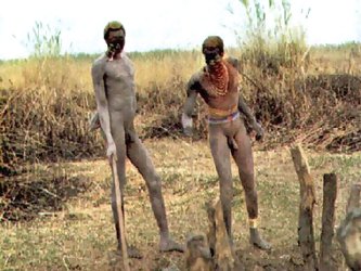 Real african tribes posing nude. Real wild life in africa day by day. Shockug nude - all life! Pierced and tatooed girls. Dont miss it! Bonus - hardco